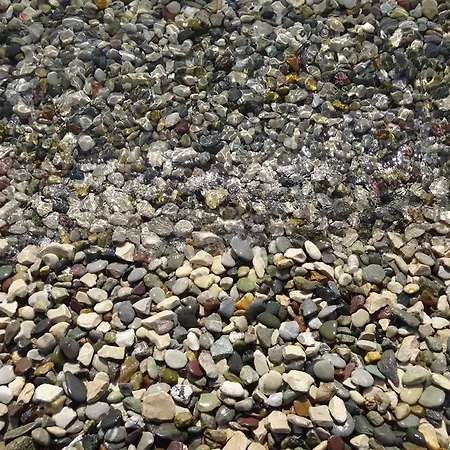 D House Authentic House, Relaxing Courtyard And Terrace Feriehus Zlarin