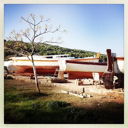 Feriehus D House Authentic House, Relaxing Courtyard And Terrace Zlarin