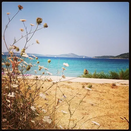 D House Authentic House, Relaxing Courtyard And Terrace Zlarin