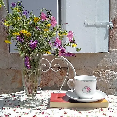 D House Authentic House, Relaxing Courtyard And Terrace Zlarin