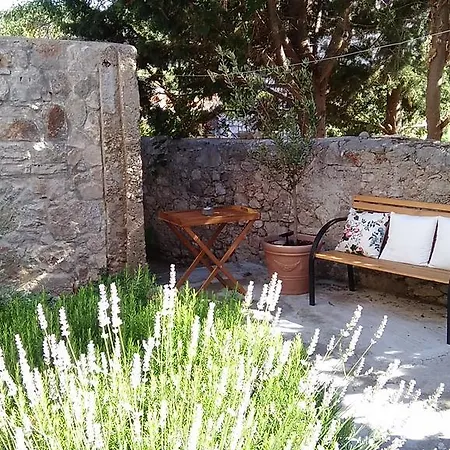 D House Authentic House, Relaxing Courtyard And Terrace Feriehus *